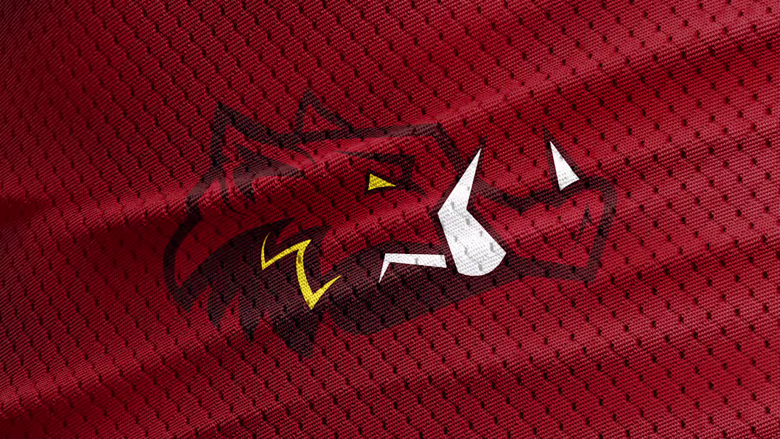 Cover image for Washington Warthogs - Commanders Redesign 