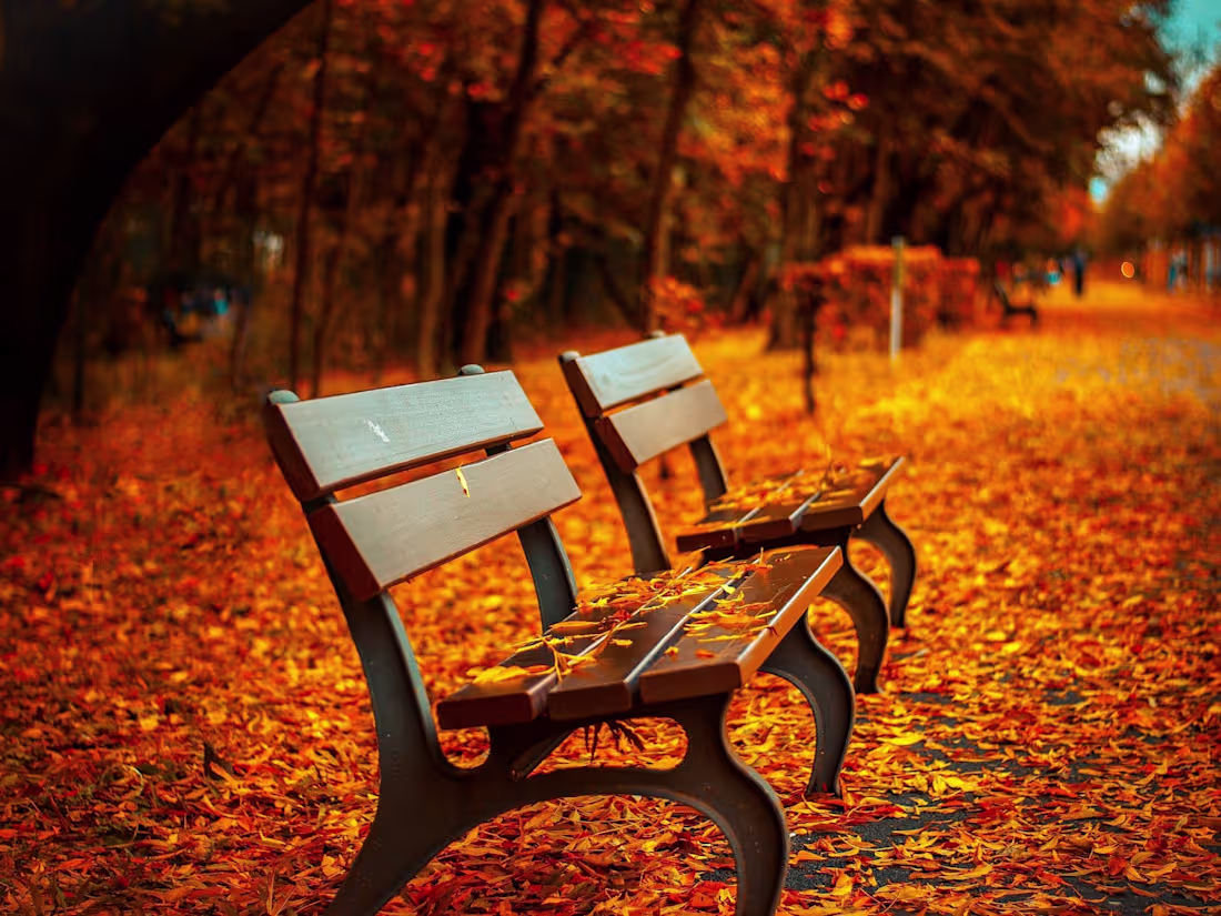 Cover image for LoFi Video Game Track - Octobrr