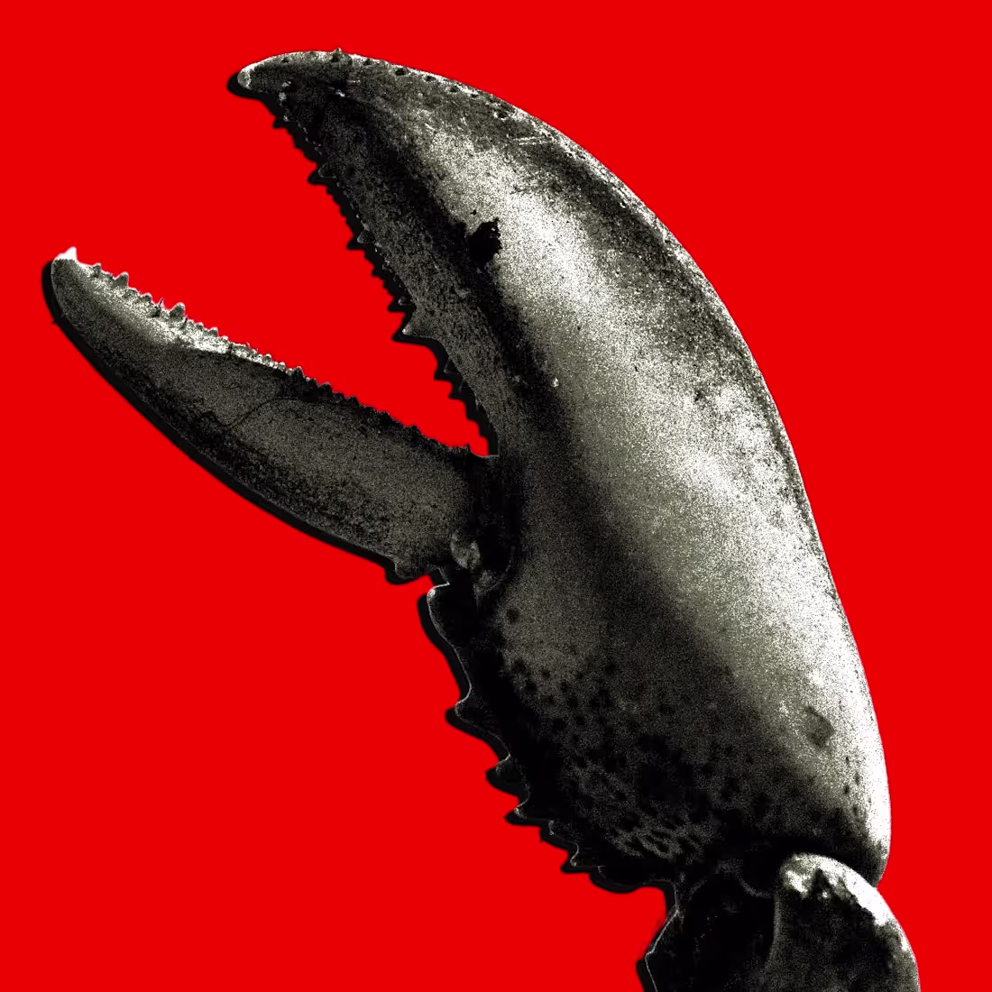 Cover image for A lobster-themed open-source AI coding