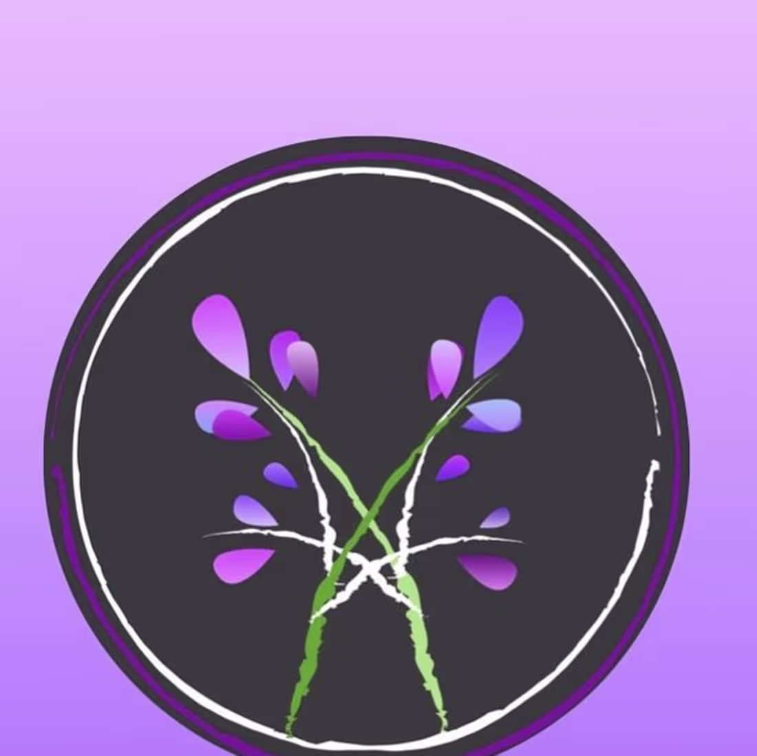 Cover image for The Sincere Brand