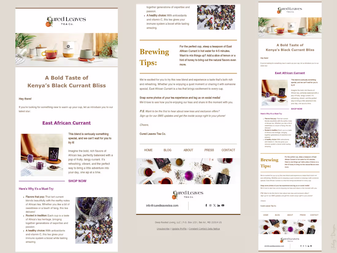 Cover image for Newsletter Template