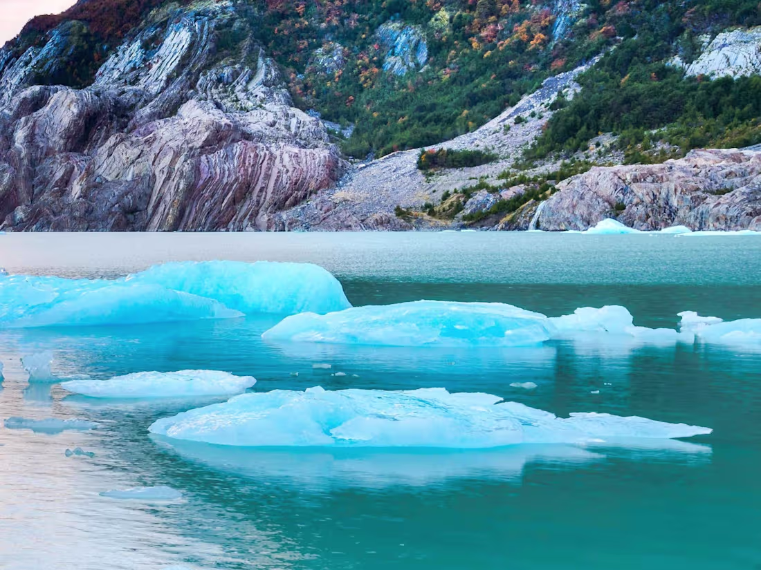 Cover image for No experience 