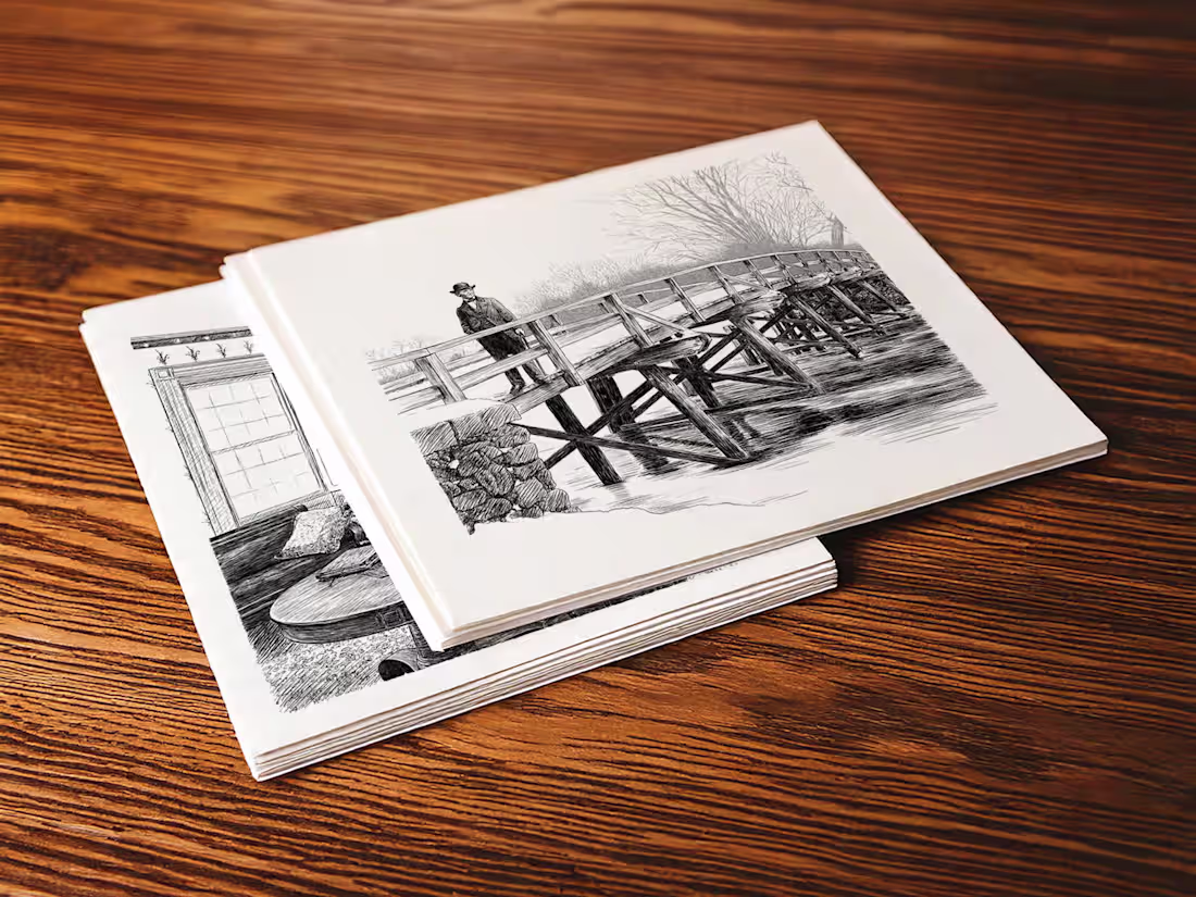 Cover image for Illustrations for a book on