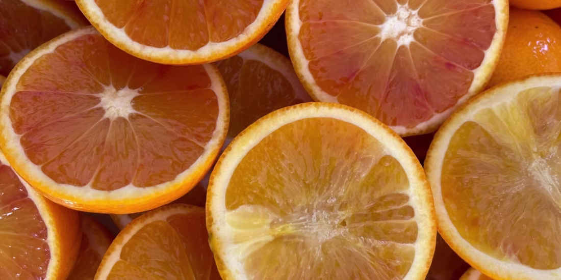 Cover image for How to Deploy Segment Anything Model 2 (SAM 2) With Modelbit