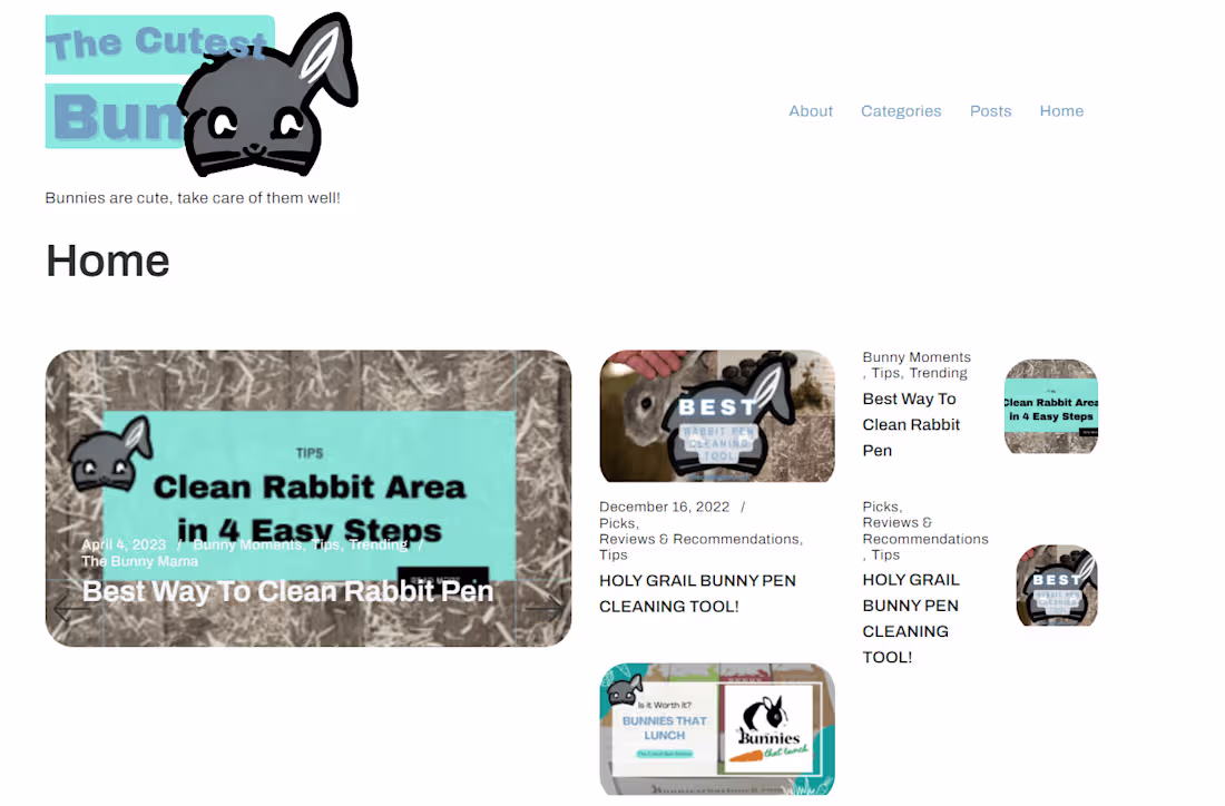 Cover image for Customized WordPress Website Development