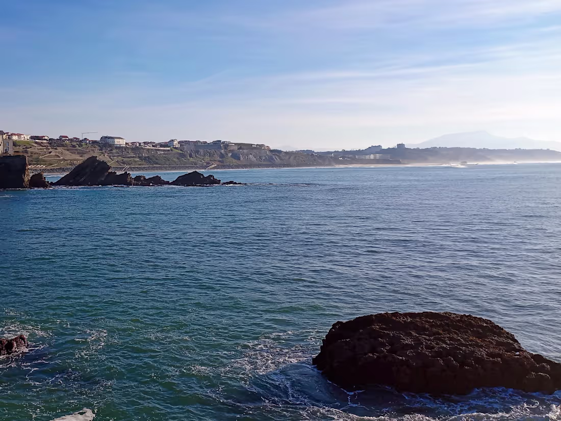 Cover image for Development of SOPs, Policies, and Employee Handbook