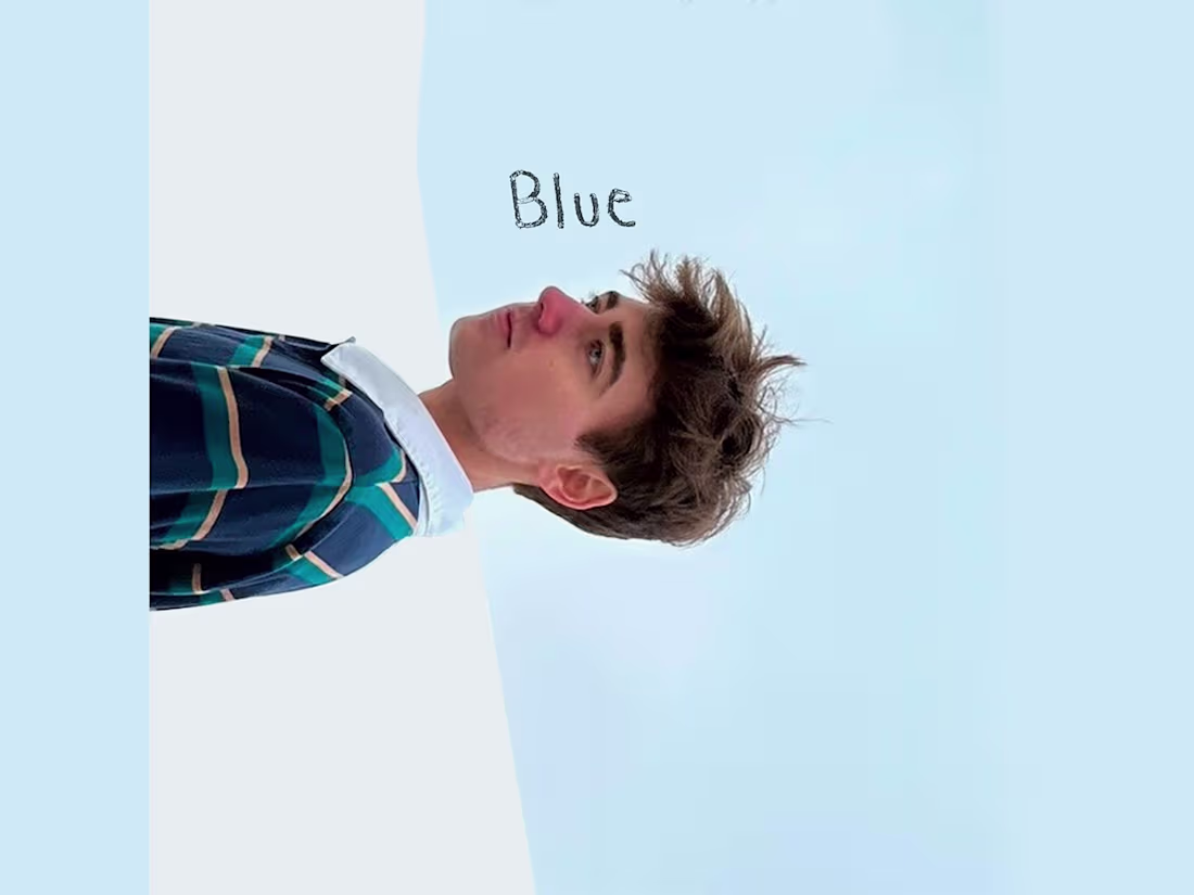 Cover image for Blue - Visual Album