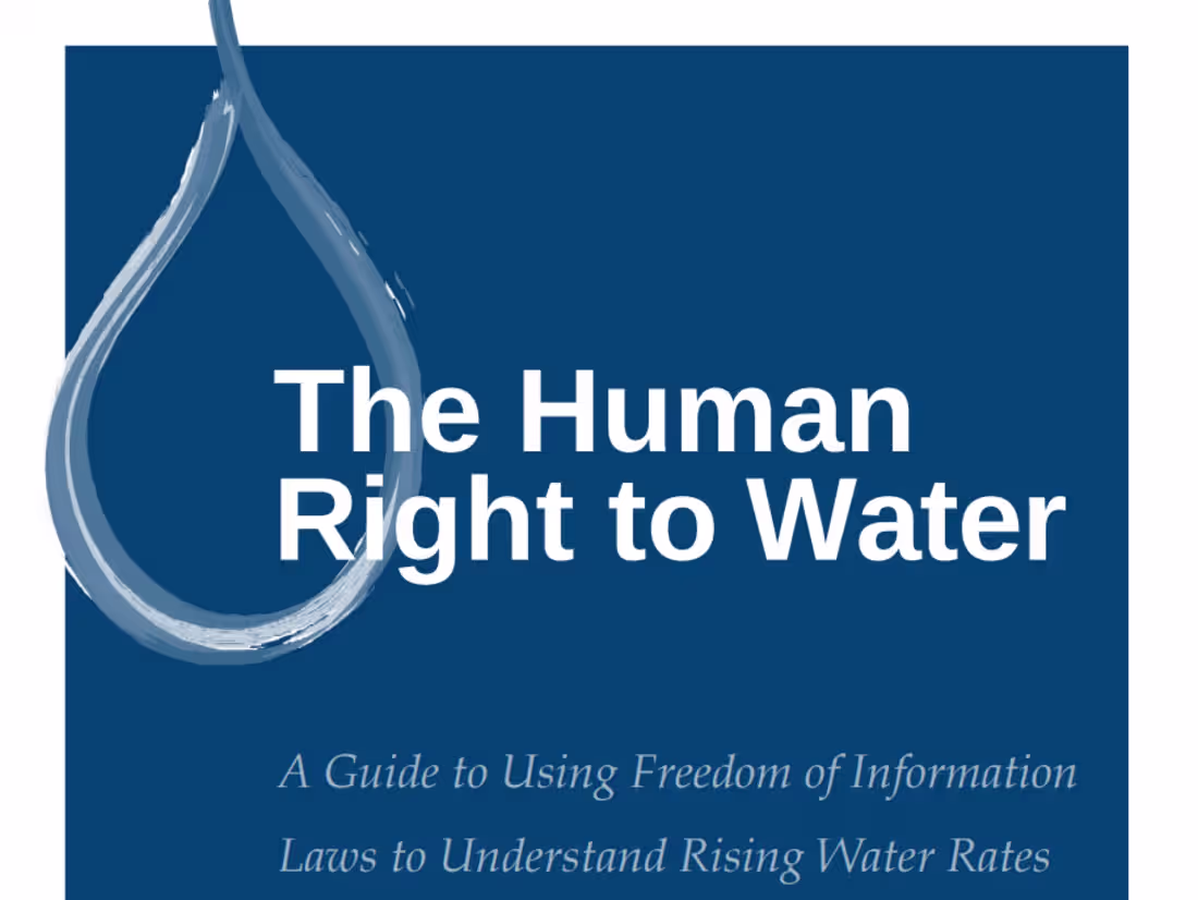 Cover image for The Human Right to Water