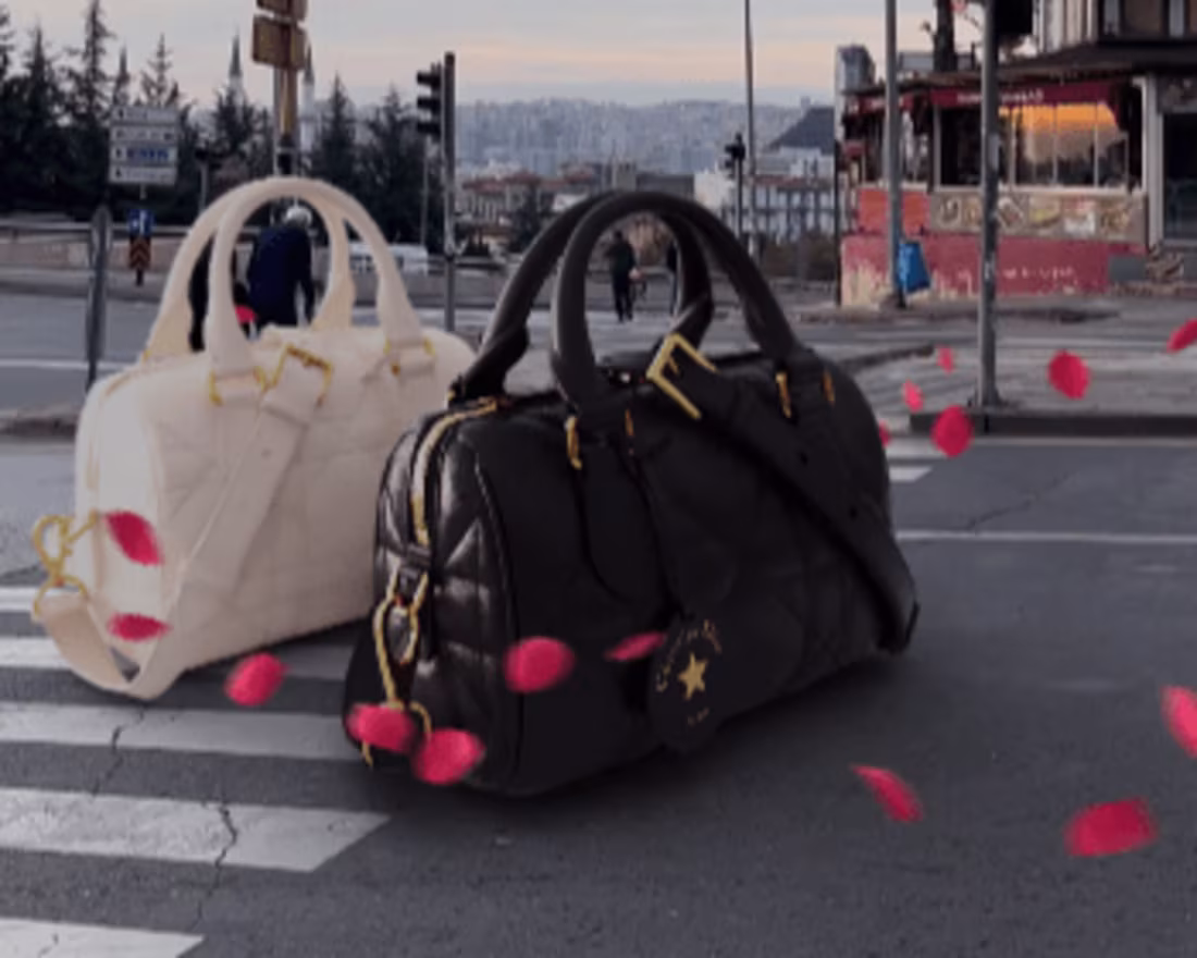 Cover image for Walk of Elegance