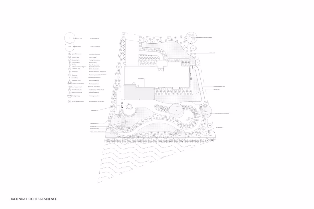 Cover image for Conceptual plans