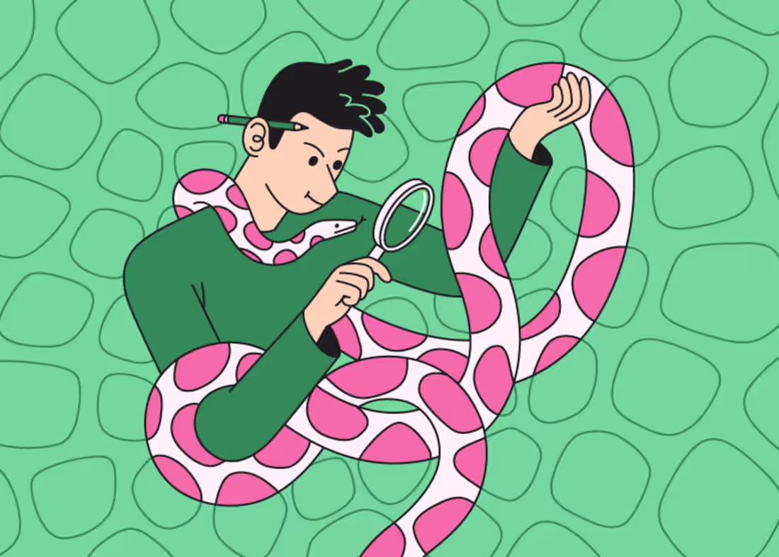 Cover image for 2023 Python Developer Salaries Around the World. Author.