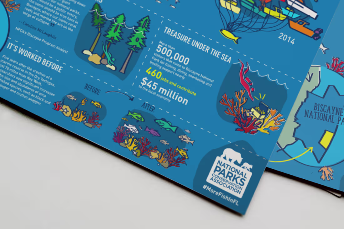 Cover image for NCPA Infographic