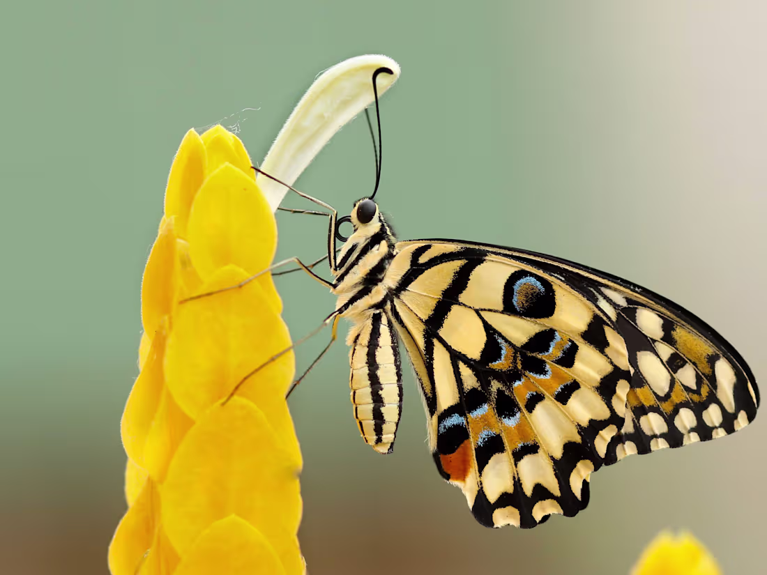 Cover image for Bookkeeping