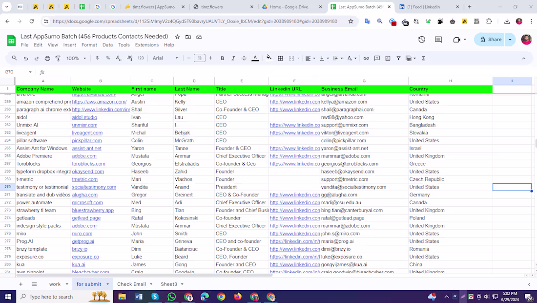 Cover image for AppSumo Product Leads 
B2B Lead