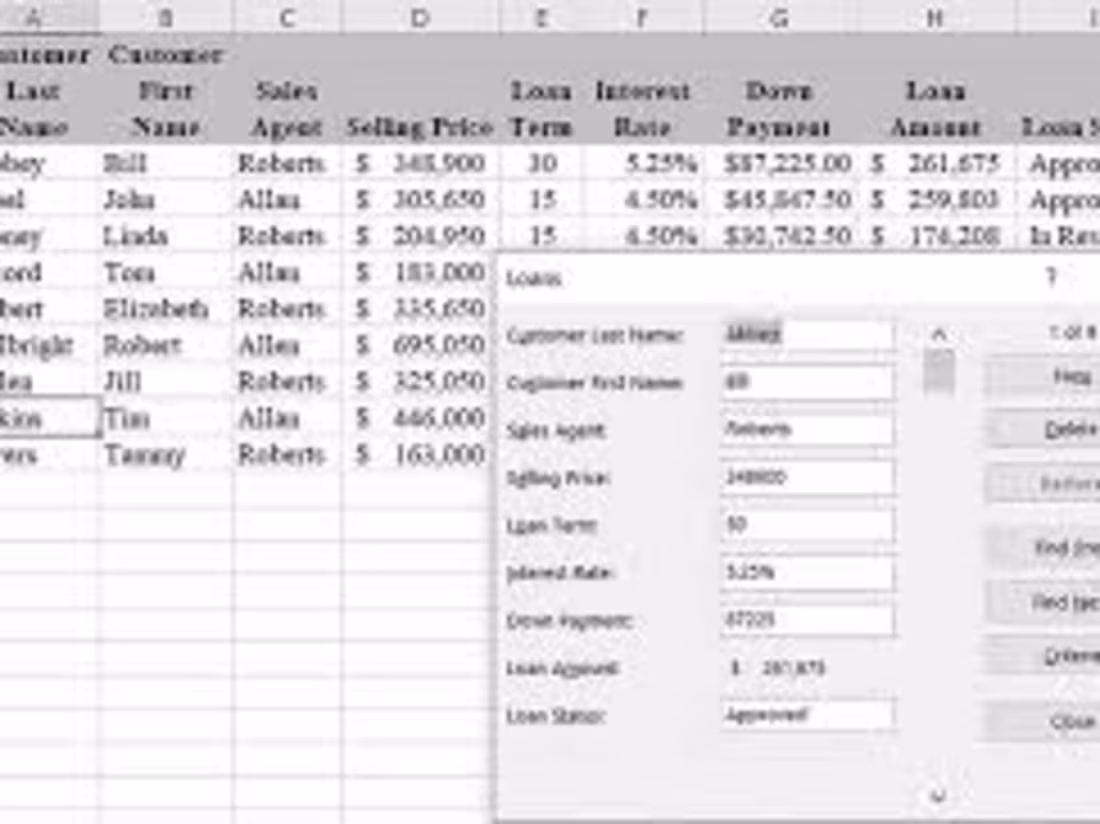 Cover image for Data Entry