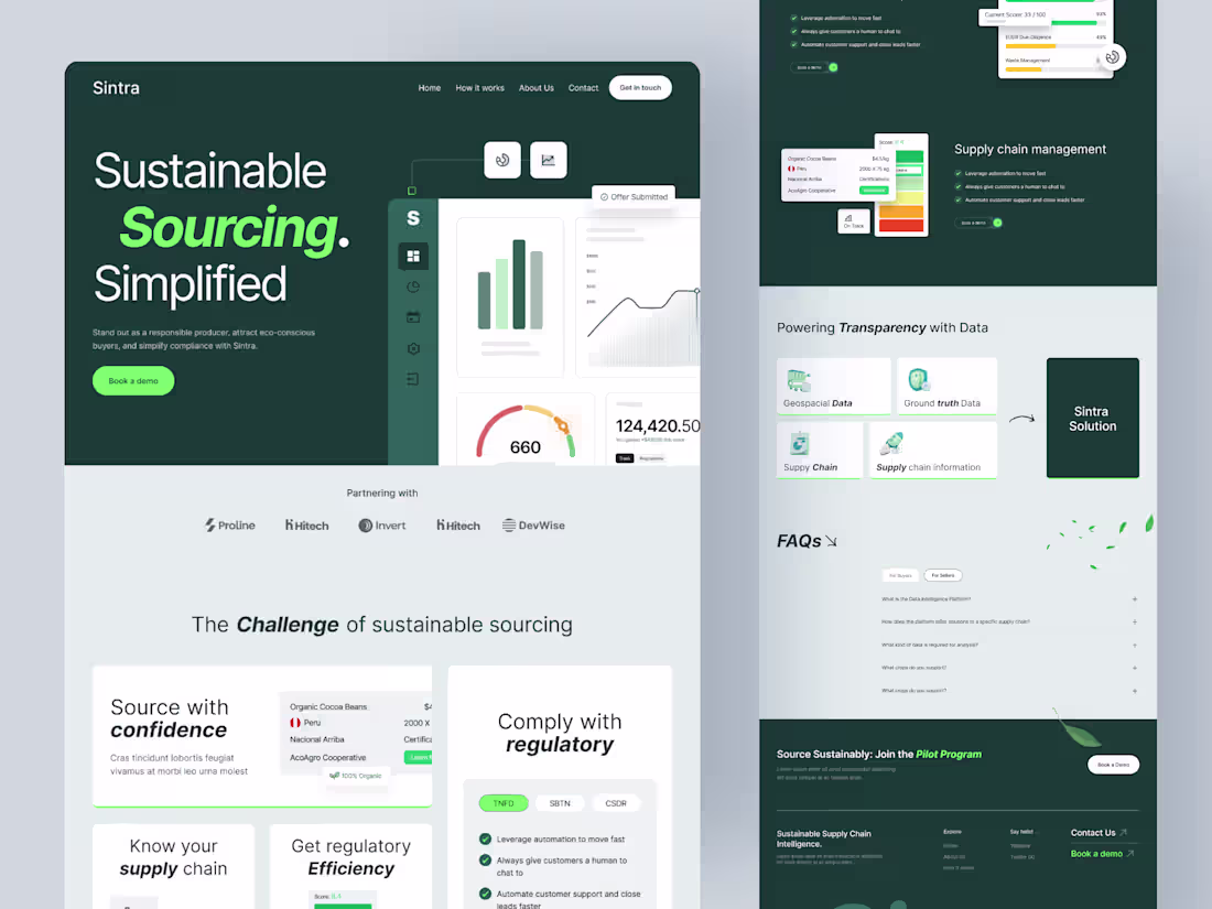 Cover image for Sintra Website Design and Development