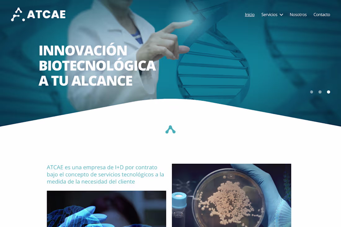 Cover image for ATCAE