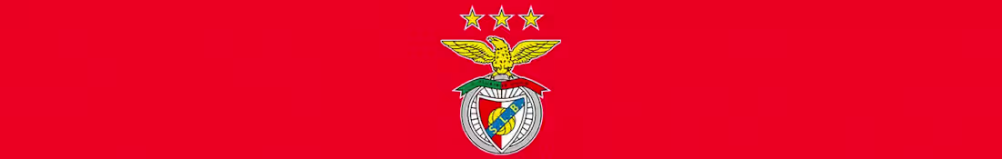 Cover image for Sport Lisboa e Benfica @ Sara