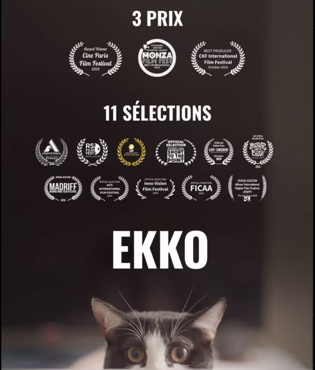 Cover image for Ekko (2024) by A. Iglesias! Still running festivals but abou...