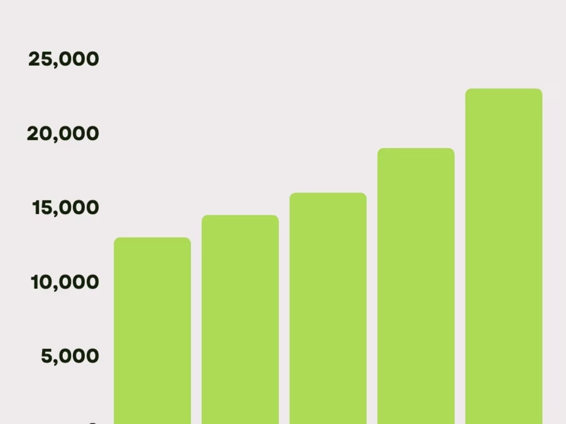 Cover image for Amazon Listing Audit
