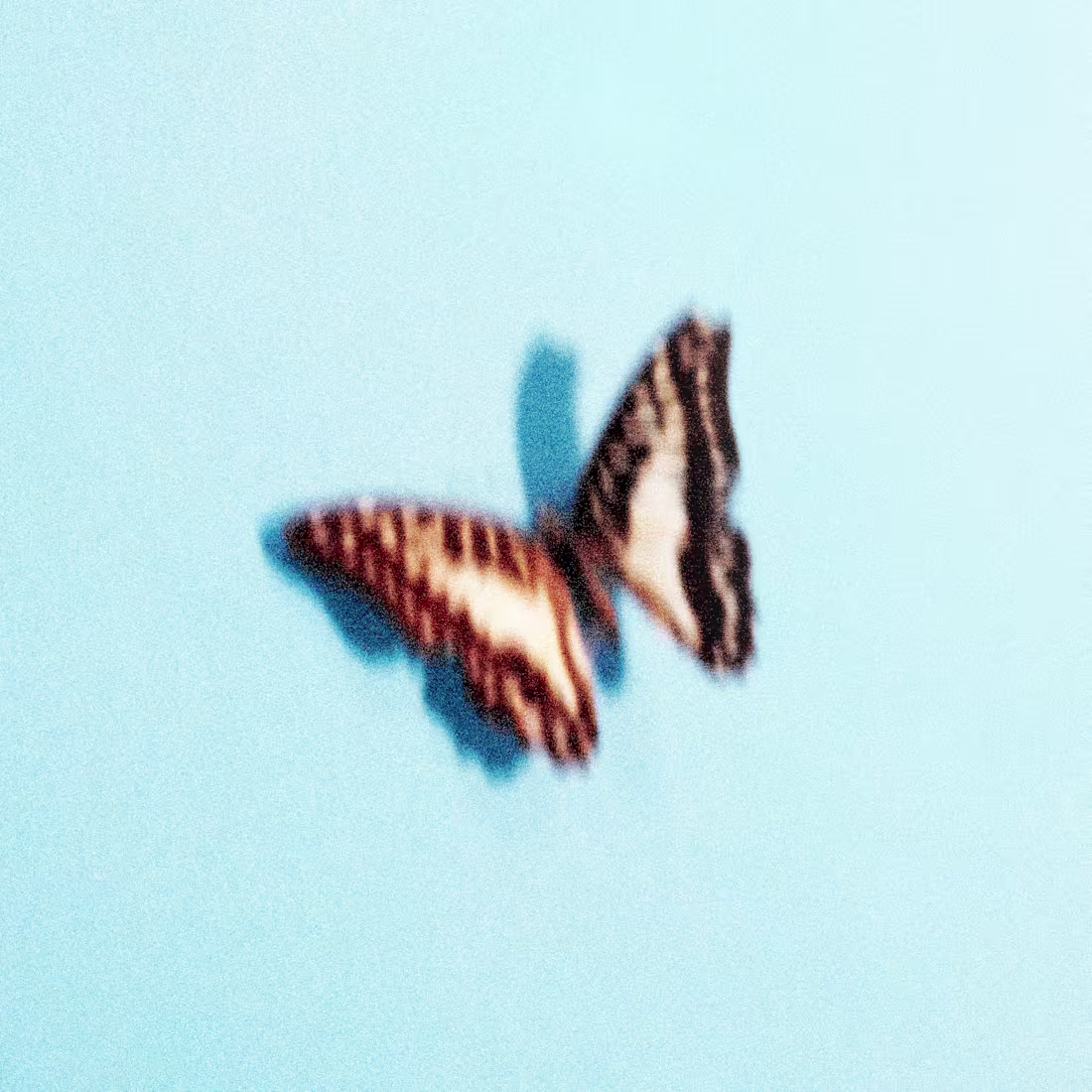 Cover image for Product Photography Portfolio