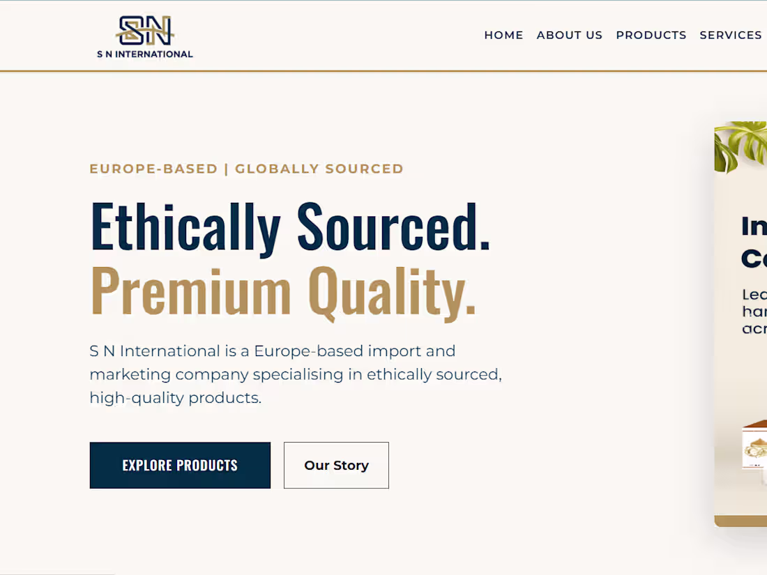 Cover image for SN International Website Development