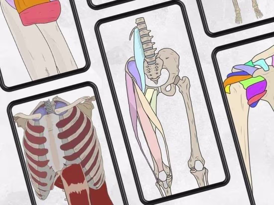 Cover image for Medicine 