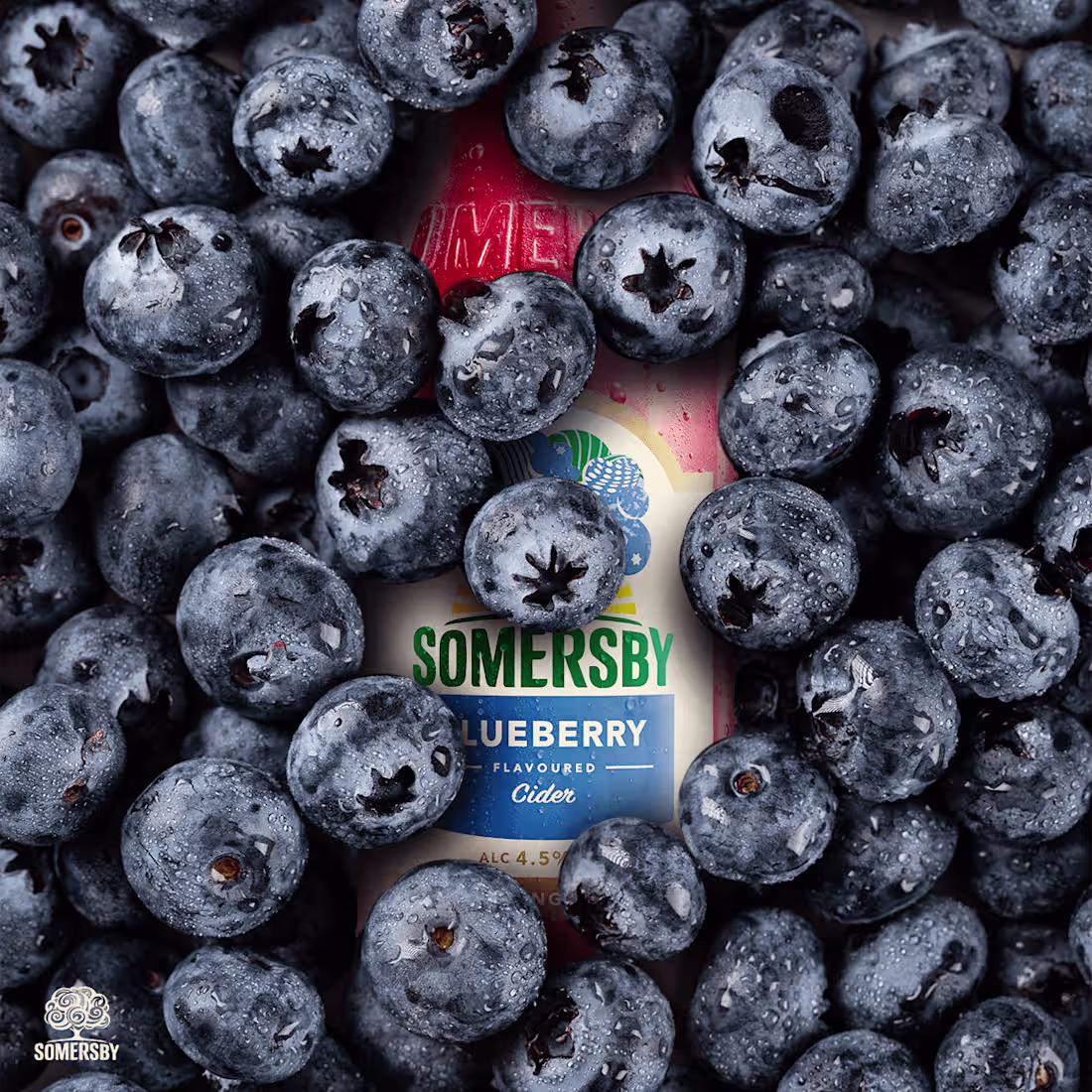 Cover image for Somersby