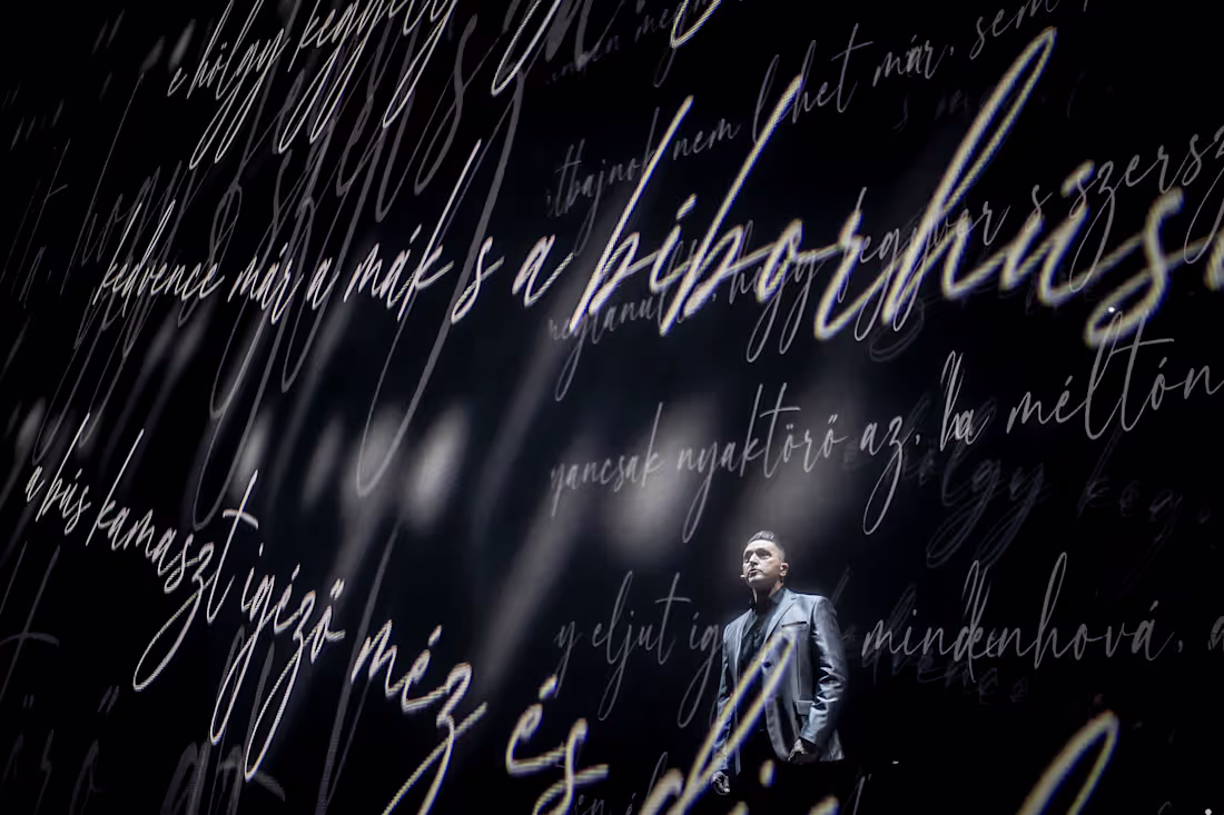 Cover image for Immersive concert in the Opera