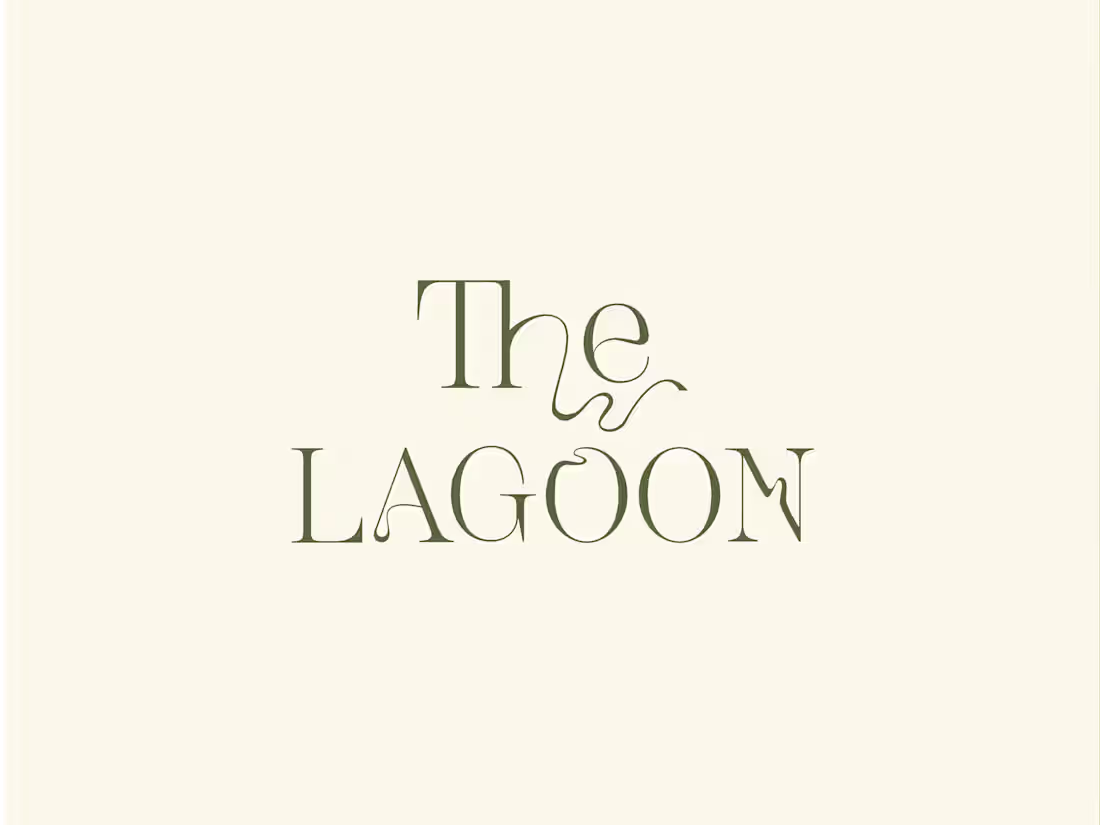 Cover image for The Lagoon