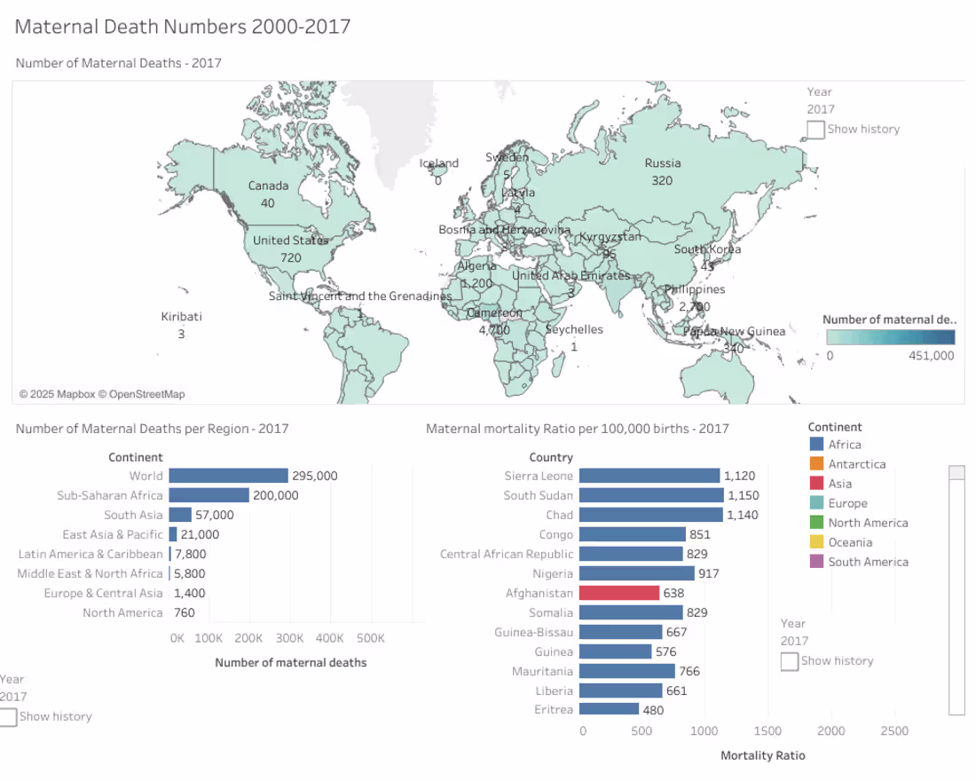Cover image for Maternal Death Numbers 2000–2017