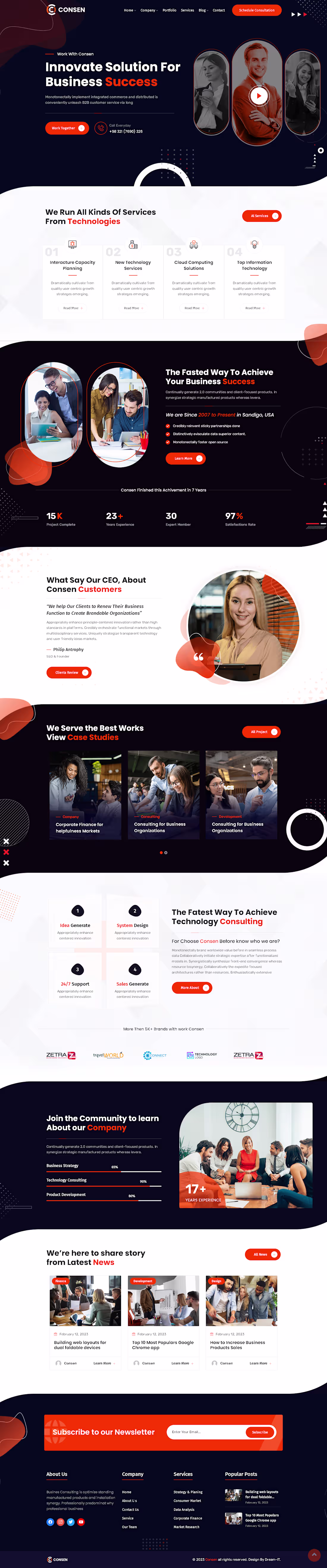 Cover image for Web site buisness consulting