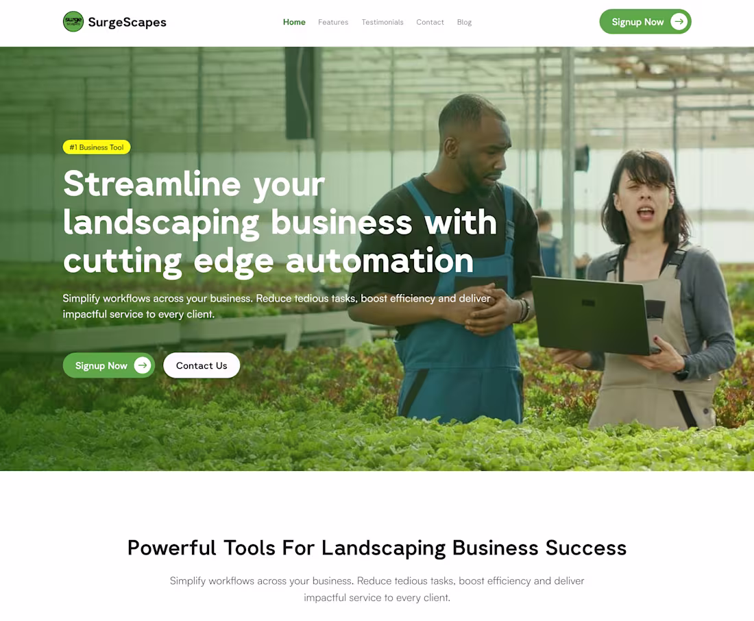 Cover image for Surge Spaces