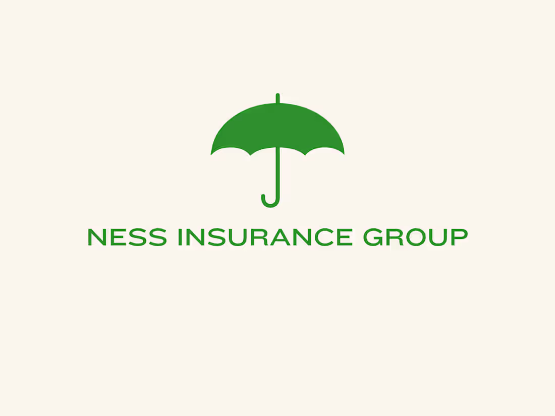 Cover image for Content Creation for Ness Insurance Group