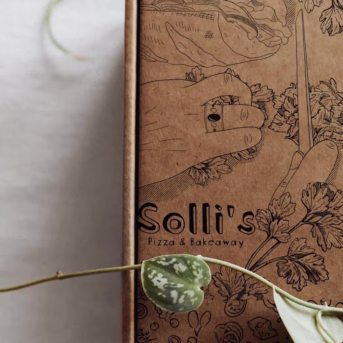 Cover image for Packaging Illustrations: Solli's Pizza