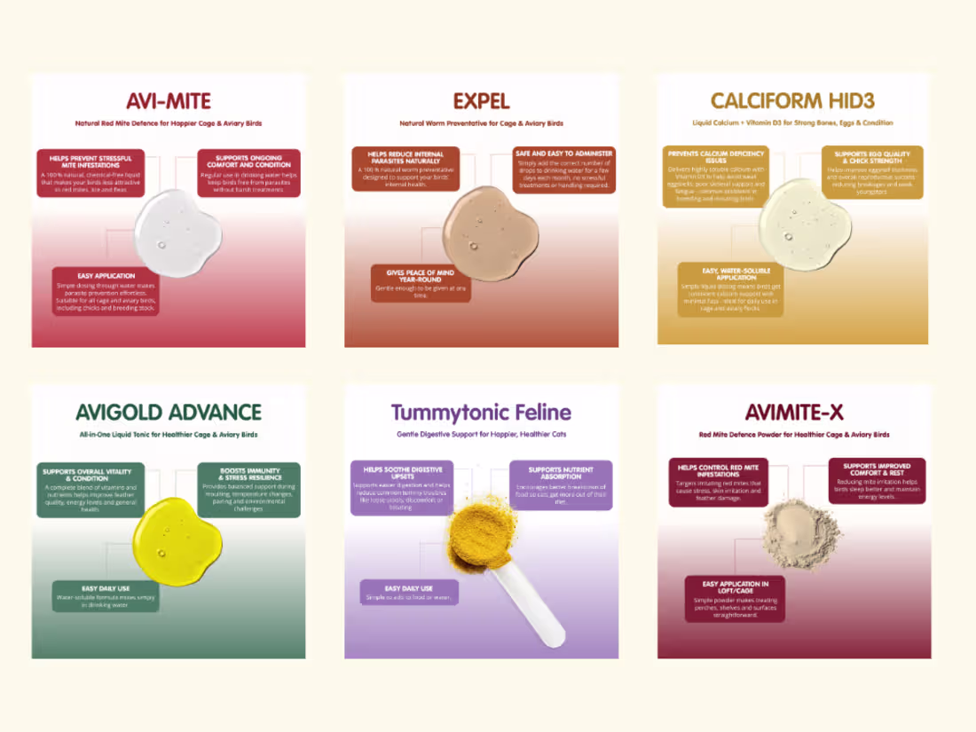 Cover image for Designed product infographics for a