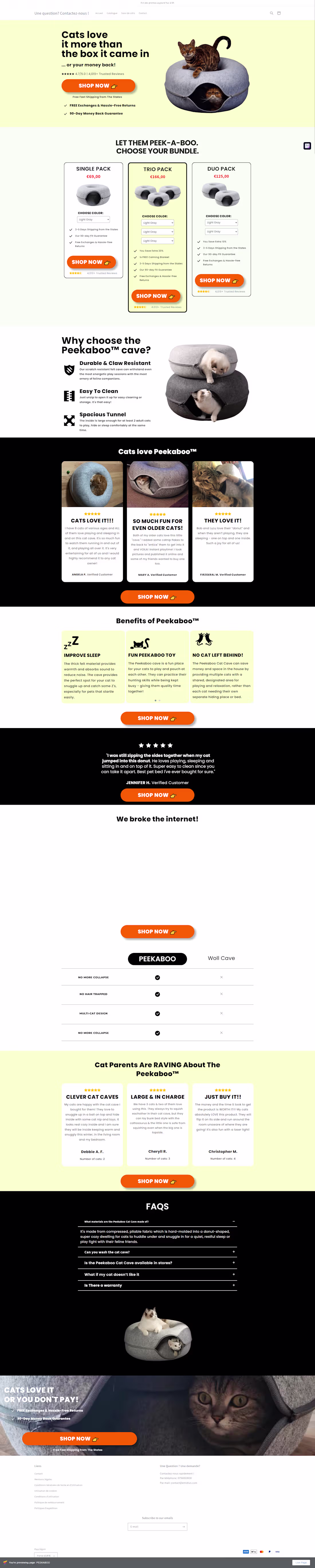 Cover image for This custom Shopify landing page