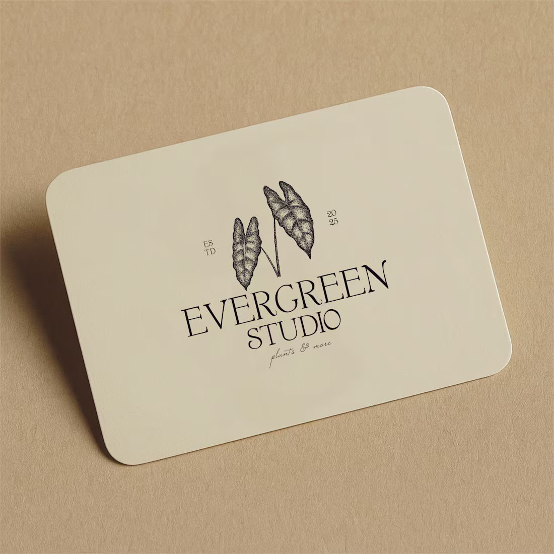 Cover image for EVERGREEN STUDIO | VINTAGE LOGO DESIGN