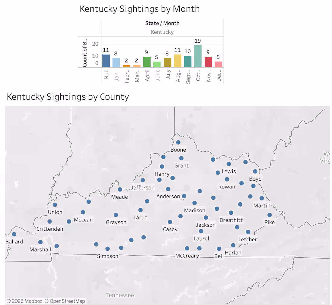 Cover image for Enhance Business Insights with Geospatial Tableau Dashboards