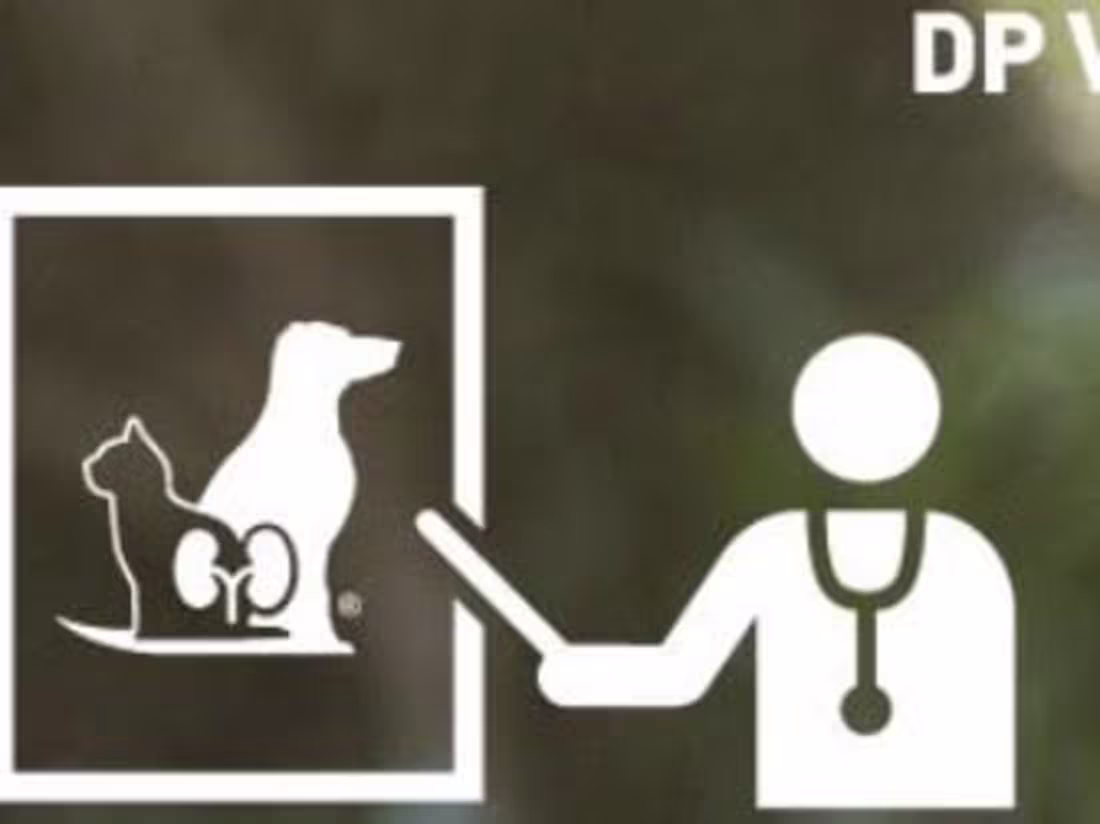 Cover image for Renal Pets Country Manager