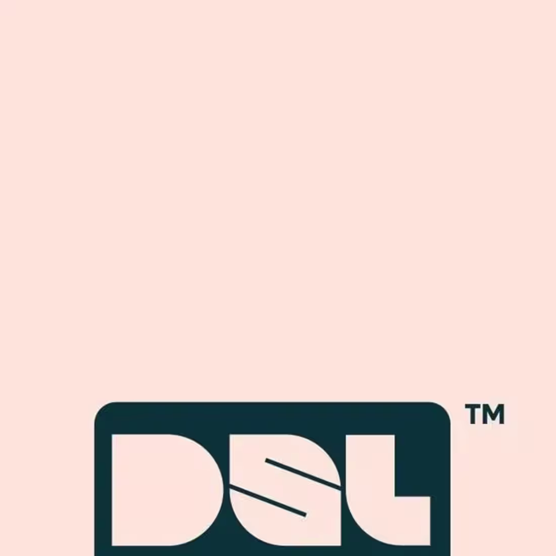 Cover image for DSL logo design project 