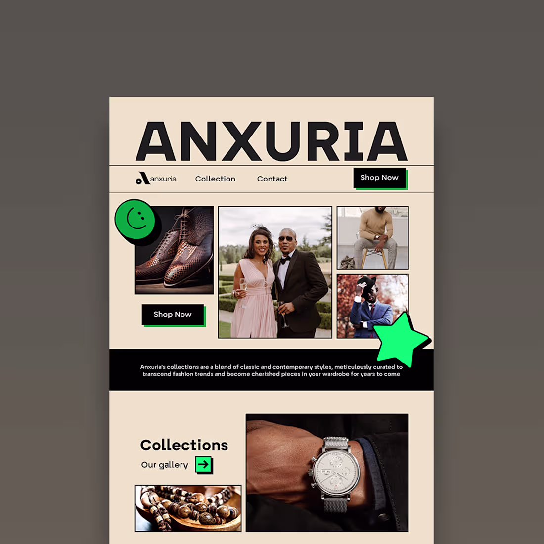 Cover image for Anxuria Fashion website