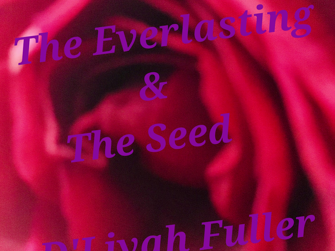 Cover image for The Everlasting and The Seed