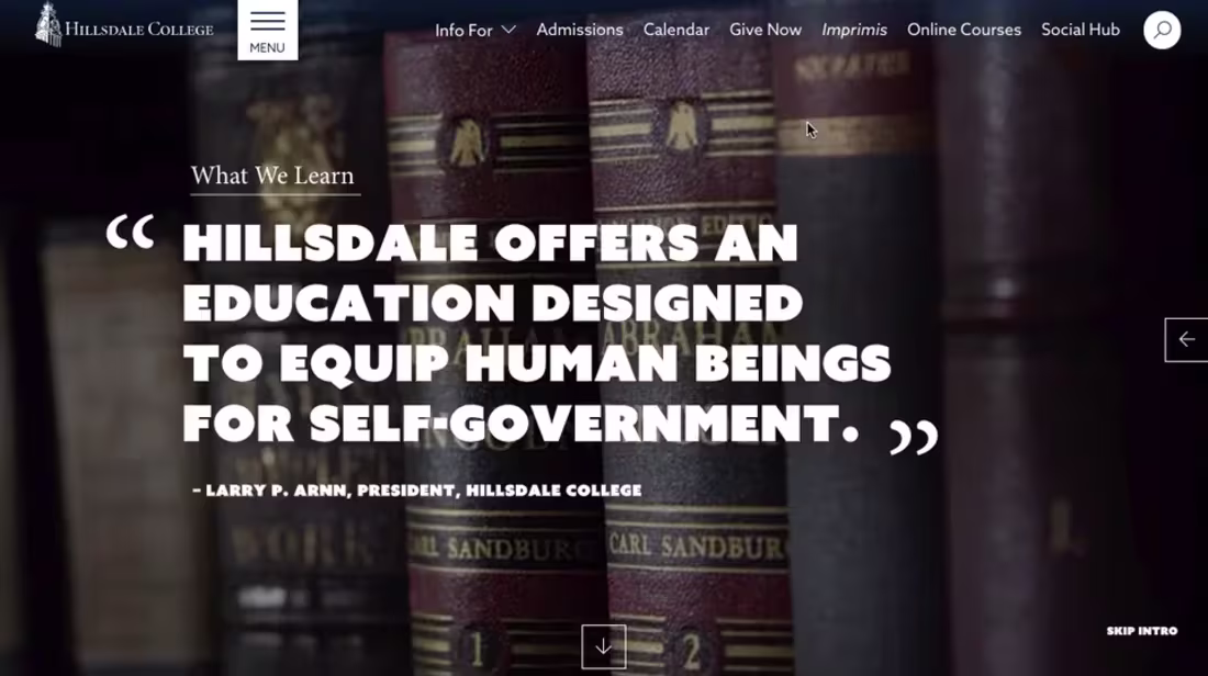 Cover image for Websites