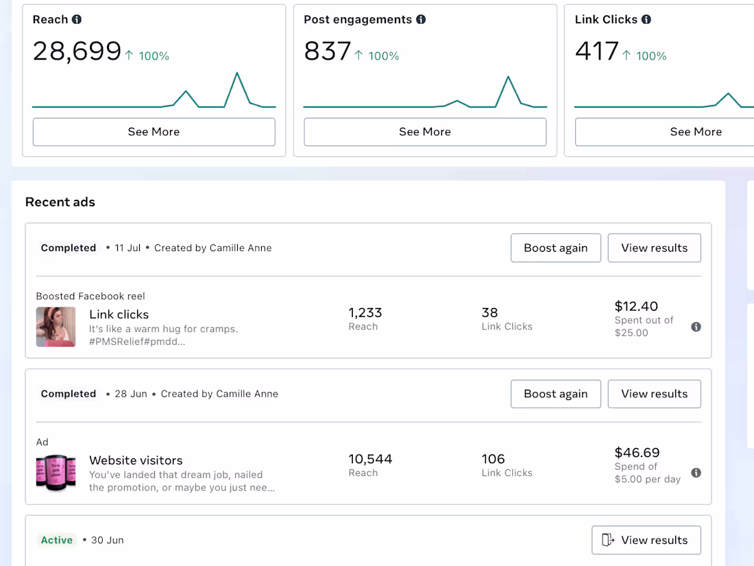 Cover image for Paid Social Media Advertising 