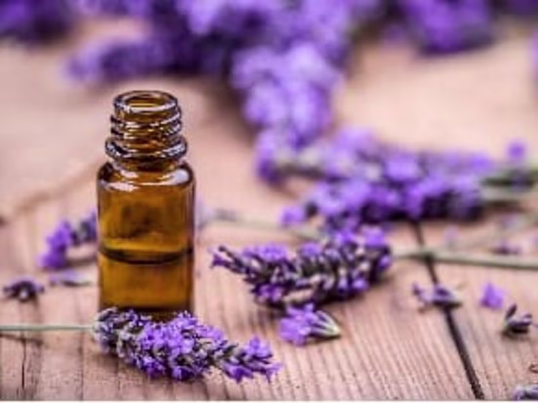 Cover image for  lavender-infused essential oils