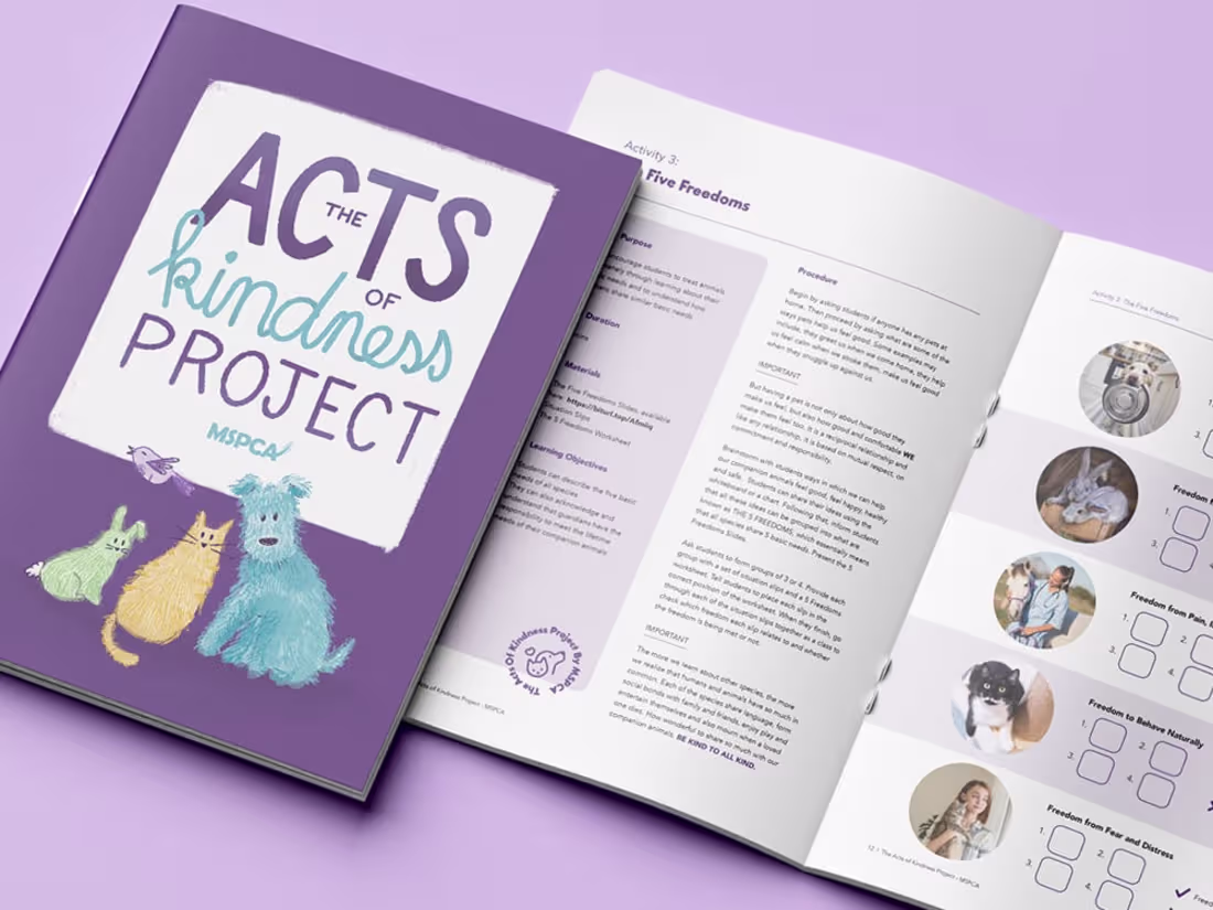 Cover image for The Acts of Kindness Project for MSPCA 