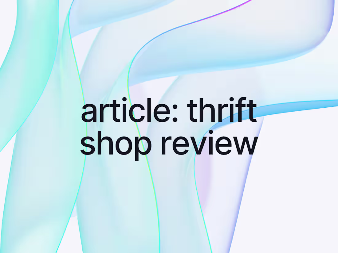 Cover image for article: thrift shop review