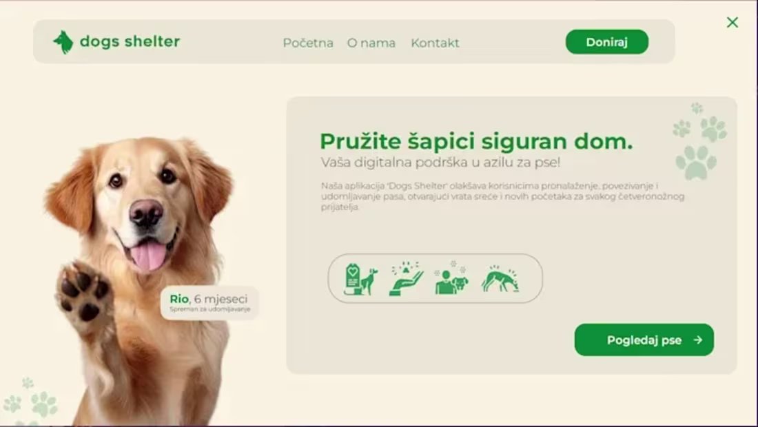 Cover image for Dogs Shelter Application 🐶