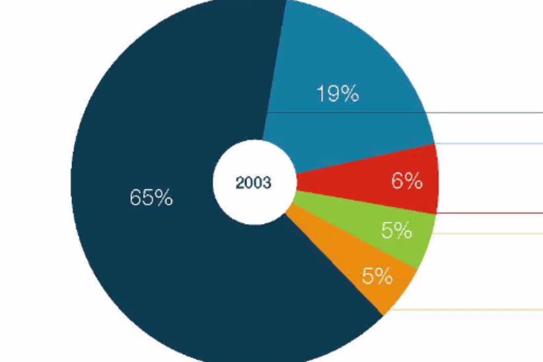 Cover image for Control Risks